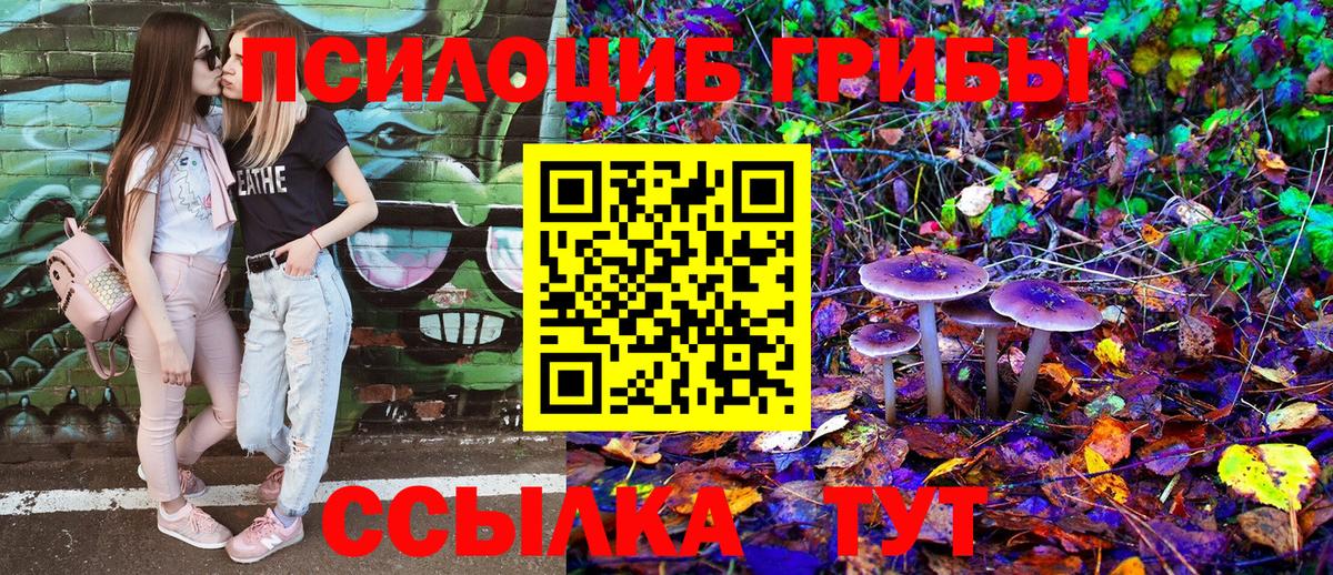 Галлюциногенные грибы GOLDEN TEACHER Крымск
